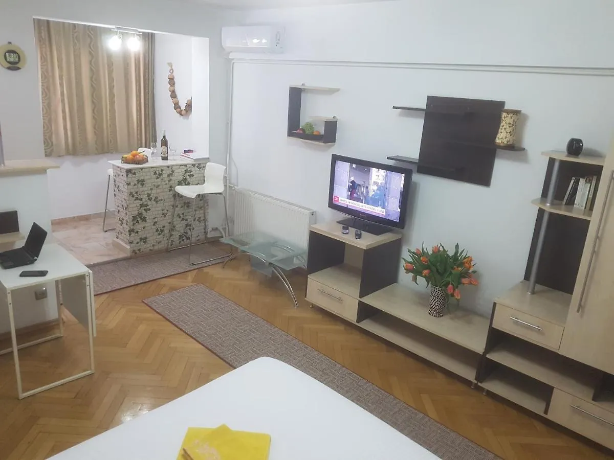 Calea Victoriei Residence Bucharest Apartment